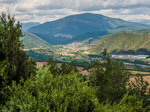 Boltaña