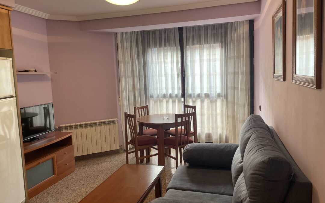 Apartment for 2 guests at Apartamentos Villa de Aínsa